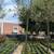 Olive Tree 7 thumbnail