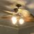 Ceiling fan 1 thumbnail