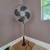 Osculating Fan 1 thumbnail