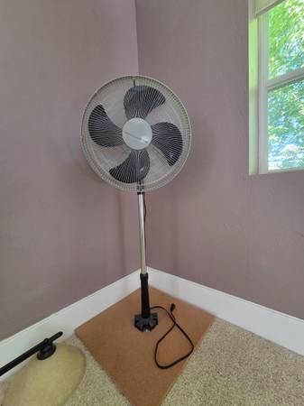 Osculating Fan 1