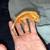 Crested geckos 11 thumbnail