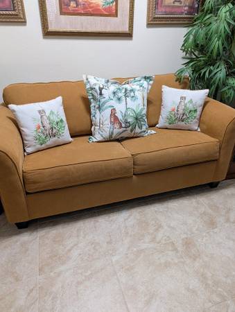Confortable Sleeper Sofa 1