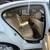 2013 BMW 528i XDrive 22 thumbnail