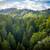 Rare Santa Cruz Mountains Lot – 0.88 Acres + 0.13 Bonus Parcel 16 thumbnail