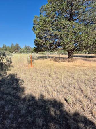 $12,000 🏡 Lote de 1.1 acre – Pit River Estates – ¡Listo para construir! (Alturas)63656873904641120