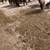 Mini Mare 14 thumbnail