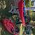 Lifetime Kayak 23 thumbnail