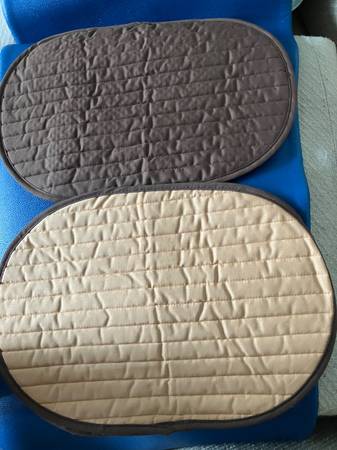 Four Both Sides Placemats - new used - $1/each 1