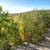 Lot with spectacular AK range and city view on Eagle Ridge 12 thumbnail