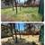 Landscaping & Yard Cleanups 12 thumbnail