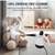 Handheld Steamer Cleaner 3 thumbnail