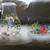Flowered Hand painted serveware 3 thumbnail