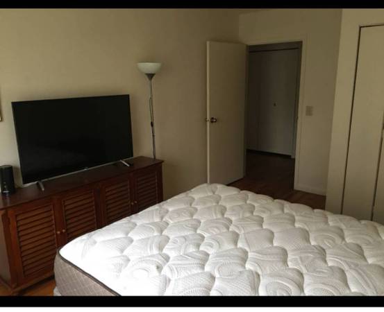 Shared Room for rent in the Bronx

$100

                        bronx