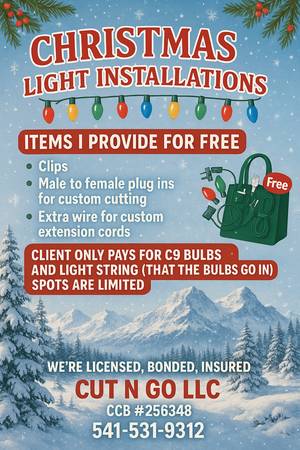 🎄 Now Booking Christmas Light Installations! 🎄 ✨ 1
