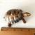 Wade Porcelain Turtle Trinket Box - Made in England 7 thumbnail
