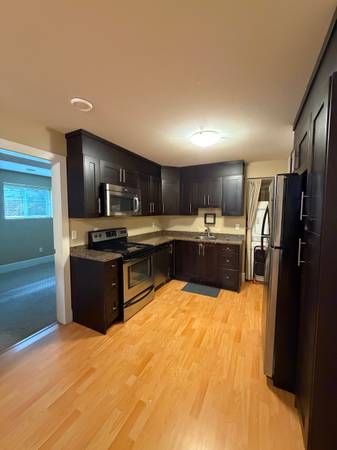 Two Bed One Bath Basement Unit For Rent In South Surrey 1