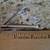 Vintage Permedge Nail Clipper Sold Only At Rexall Store 3 thumbnail