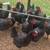 Chickens 1 thumbnail