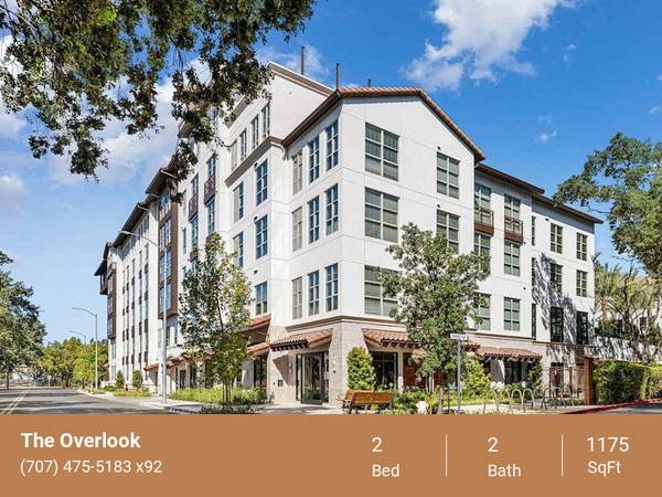 Screening lounge with HD projector and cinema seating 1