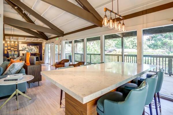 $2,566 / 1br - 545ft2 - Skylight, Parkmont Elementary School, 1 BD (fremont / union city / newark)63667872706561123
