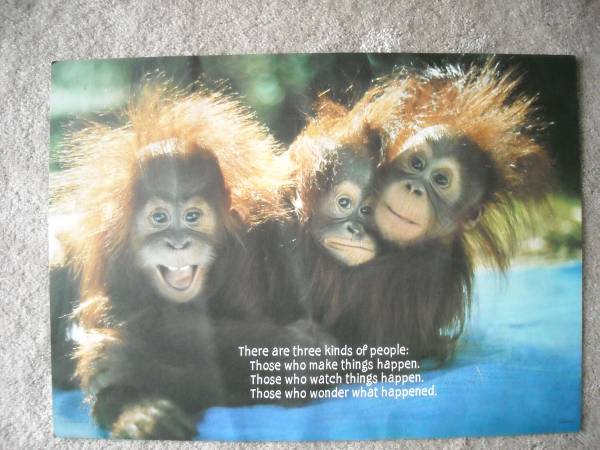 Vintage 1979 &1980 Monkey Posters x 2 1