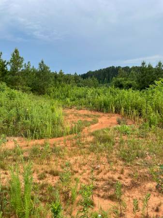 $106,500 Scenic 5-acre lot in a newly developed rural subdivision in East TN (Vonore)63815695004291122