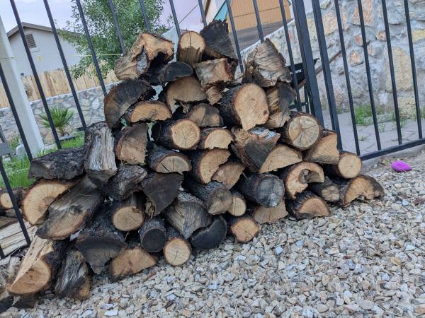 Pecan firewood camping 1