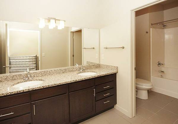 $600 Luxury Apartment Rooms For Rent - SE Minneapolis (Minneapolis)63868700677251124