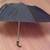 NYC Umbrella 1 thumbnail