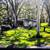 OWNER FINANCING FIXER UPPER 1/2 ACRE 2BD 1BA $7K DN $799 MO 2 thumbnail