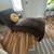 Dark Brown Microfiber Chaise Lounge 2 thumbnail