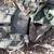 Korean War Parachute Lot B 6 thumbnail