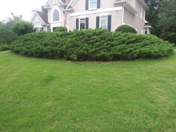 SOD INSTALLATION & Lawn care 1