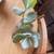 Silver dollar crassula succulent 4 thumbnail