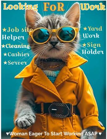 Looking For Work🌟⭐️🌟 1