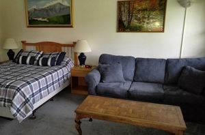 $160 / 3br - 1500ft2 - White Mountains Vacation Home w/pool  Available starting Sept 7th (Woodstock, NH)63656196062467123