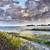 FINE ART FOR YOUR HOME, “Original Watercolors” - Local Artist 15 thumbnail
