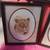 BIG CAT PICTURES FRAMED (3) LION, LEOPARD, JAGUAR 8 X 10"S 3 thumbnail