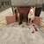 Pottery Barn Kids Playroom Sale – Furniture, Rugs, Wall Art, Dolls 16 thumbnail