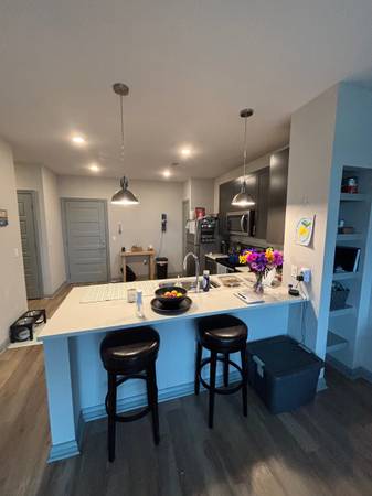 $2,072 / 1br - 800ft2 - 1 Bedroom Apartment Lease Takeover (Charleston)64016106017665121