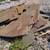 Flat Bluestone Lot 2 thumbnail