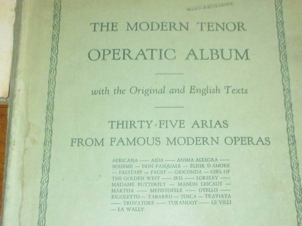 The Modern Tenor Operatic Album 1