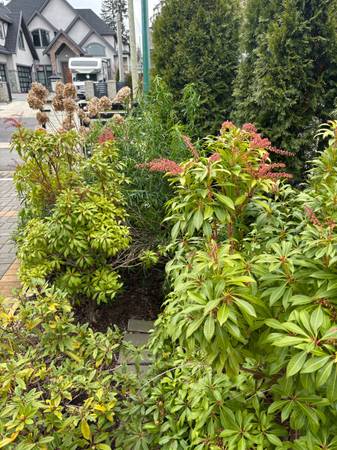 Cutting Trees, Trimming&Prunning, Garden Maintenance, Fences, Soil 1