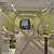 PROFESSIONAL PAINTING & DECORATIVE FINISHES – ROMAN CLAY, LIMEWASH & PLASTER 13 thumbnail