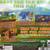 Shrek The Third - Activation - CD GAME demo 2 thumbnail