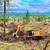 “Need Dirt Work? Fast, Reliable Excavation Services” 19 thumbnail