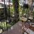 Large, Sunny Room in Columbia Heights Group House, $850 for Oct 31 11 thumbnail