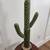 New Artificial Cactus Succulent 🌵 4 thumbnail