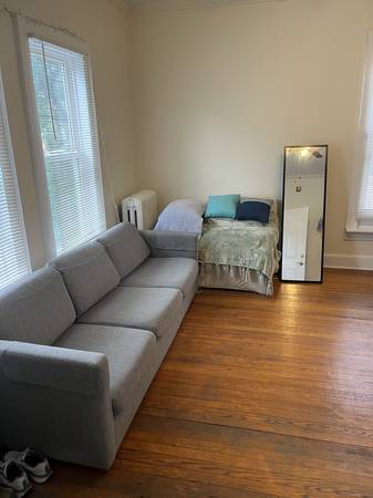 Central, Spacious Apartment 1