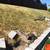 HardscapLandscape,retaining wall,pavers,fence,Artificial turf,tree se 3 thumbnail